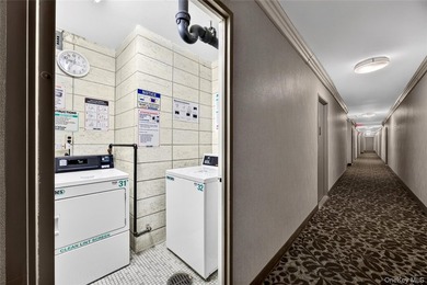 Welcome home to this light-filled, beautifully renovated - photo 24