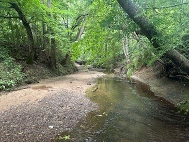 Embrace a rare opportunity to own a multi-generational farm in - photo 24