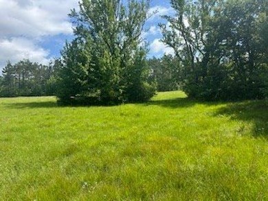 Embrace a rare opportunity to own a multi-generational farm in - photo 28