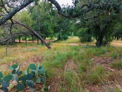Exceptional level golf course homesite located at the end of a - photo 4