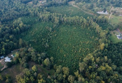 Oktibbeha County Lake Acreage For Sale in Meridian Mississippi