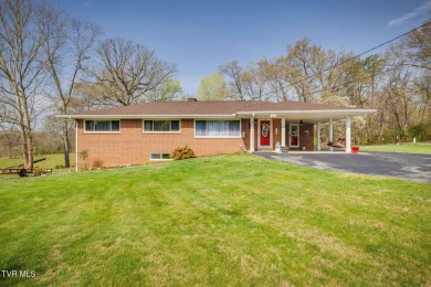 Lake Home For Sale in Kingsport, Tennessee