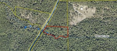 Lake Acreage For Sale in Defuniak Springs, Florida