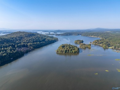 Lakefront living in a gated community on Weiss Lake! Just under - photo 13