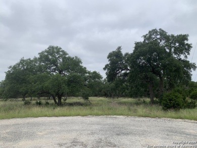 Canyon Lake Lot For Sale in Spring Branch Texas