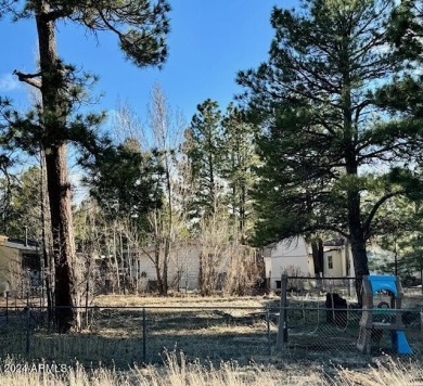 Odell Lake  Lot For Sale in Munds Park Arizona