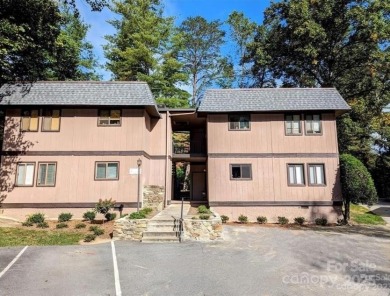 Lake Condo ActiveUnderContr in Hendersonville, North Carolina