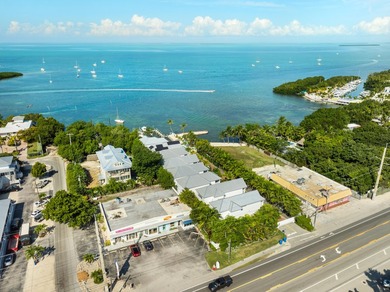 Perfectly positioned in the heart of Upper Matecumbe Key, this - photo 50