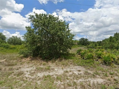 Lehigh Acres Area Lot For Sale in Lehigh Acres Florida