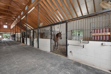Experience the ultimate Texas Hill Country lifestyle at 3307 - photo 21