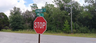 Lake Lot For Sale in Chipley, Florida