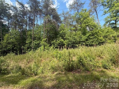 Build your dream retreat on this wooded 0.34-acre lot in the - photo 1