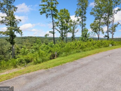 Coosawattee River - Gilmer County Lot For Sale in Ellijay Georgia