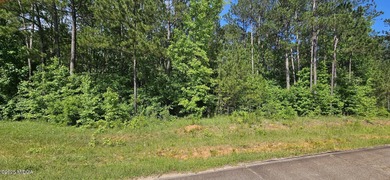 (private lake, pond, coastal) Acreage For Sale in Gray Georgia