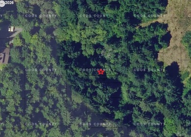 FORESTED .07 ACRE in between East Bay Road, Kirkendall Road & - photo 2