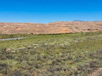 An incredibly rare opportunity! 80 Acres with Virgin River - photo 13