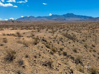 An incredibly rare opportunity! 80 Acres with Virgin River - photo 15
