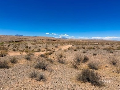 An incredibly rare opportunity! 80 Acres with Virgin River - photo 32