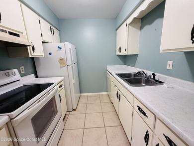 Welcome to your hassle-free Florida lifestyle! This beautiful - photo 8