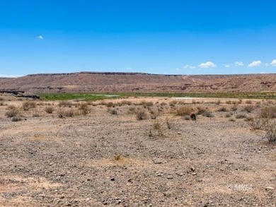 An incredibly rare opportunity! 80 Acres with Virgin River - photo 39