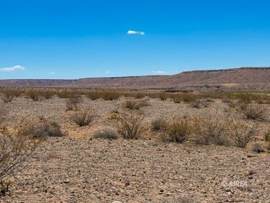 An incredibly rare opportunity! 80 Acres with Virgin River - photo 44