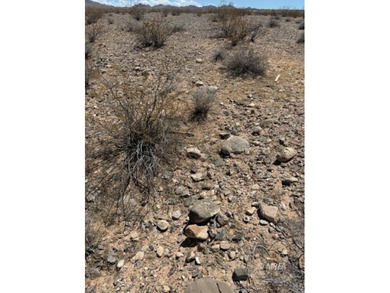 An incredibly rare opportunity! 80 Acres with Virgin River - photo 46