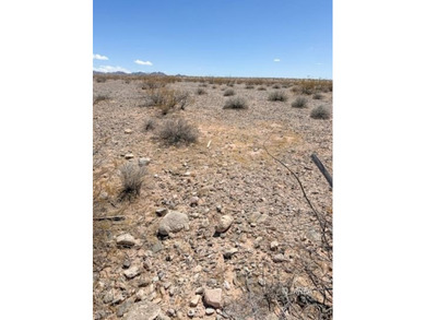 An incredibly rare opportunity! 80 Acres with Virgin River - photo 47