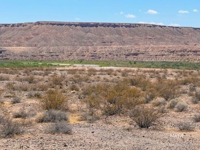 An incredibly rare opportunity! 80 Acres with Virgin River - photo 50