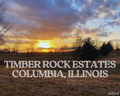 Lake Lot For Sale in Columbia, Illinois