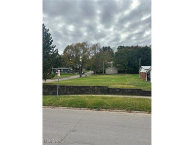 Ohio River Lot For Sale in Cambridge Ohio