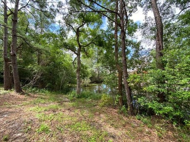READY-TO-BUILD SINGLE FAMILY HOME LOT and PRICED TO SELL! - photo 14
