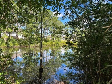 READY-TO-BUILD SINGLE FAMILY HOME LOT and PRICED TO SELL! - photo 15