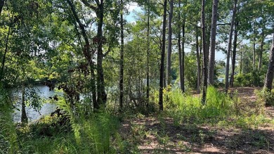 READY-TO-BUILD SINGLE FAMILY HOME LOT and PRICED TO SELL! - photo 16