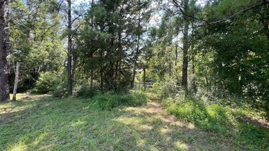 READY-TO-BUILD SINGLE FAMILY HOME LOT and PRICED TO SELL! - photo 18