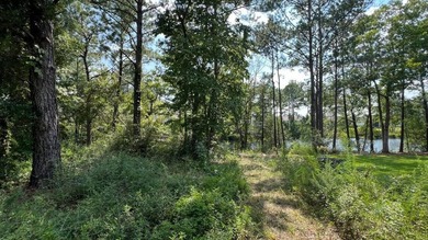 READY-TO-BUILD SINGLE FAMILY HOME LOT and PRICED TO SELL! - photo 19