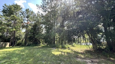 READY-TO-BUILD SINGLE FAMILY HOME LOT and PRICED TO SELL! - photo 20