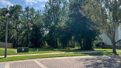 READY-TO-BUILD SINGLE FAMILY HOME LOT and PRICED TO SELL! - photo 22