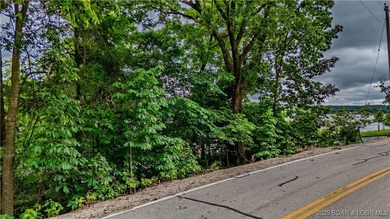 Build your dream lake home on this stunning lakefront lot - photo 10