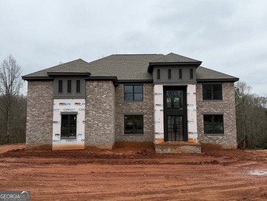 (private lake, pond, coastal) Home For Sale in Conyers Georgia