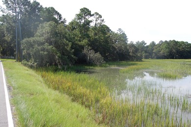 Looking to build a home that has beautiful views? This home-site - photo 12