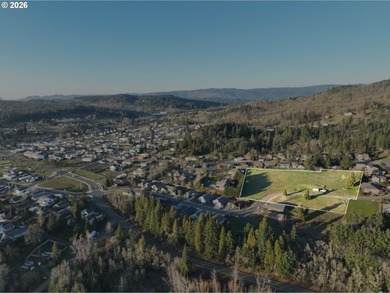 Fully engineered 16-lot residential subdivision offered as a - photo 5