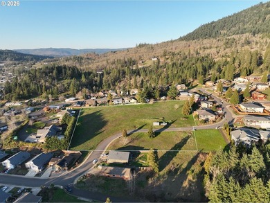 Fully engineered 16-lot residential subdivision offered as a - photo 6