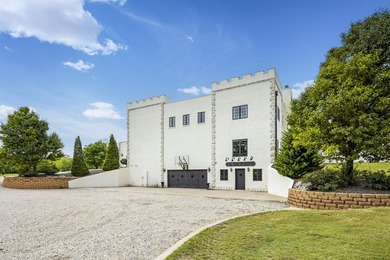 Introducing the Castle on Fossil Lake, an architectural - photo 8