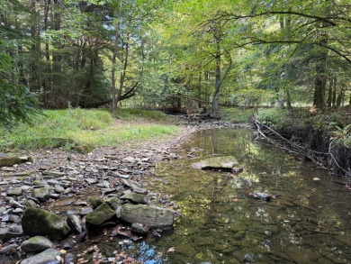 Lake Acreage For Sale in Youngsville, Pennsylvania