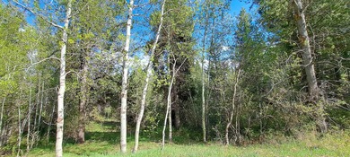 Henrys Fork River Acreage For Sale in Ashton Idaho