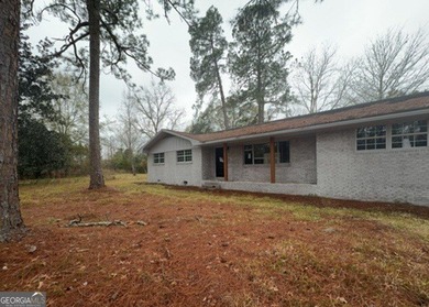 (private lake, pond, coastal) Home For Sale in Adel Georgia