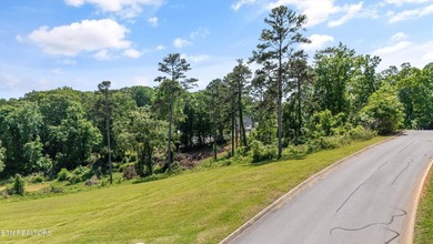 Welcome to Lot 98 -- a beautifully positioned lot in the - photo 12