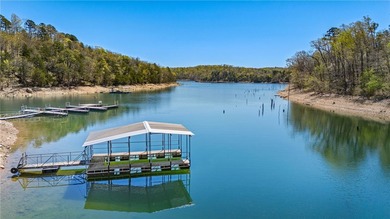 Discover the perfect canvas for your custom Beaver Lake area - photo 32