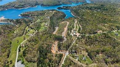 Discover the perfect canvas for your custom Beaver Lake area - photo 36