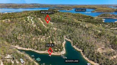 Discover the perfect canvas for your custom Beaver Lake area - photo 41